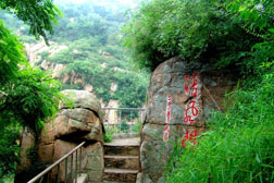 朝陽縣網(wǎng)站建設