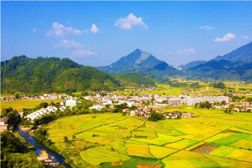 郴州網(wǎng)站建設