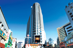 新?lián)峋W(wǎng)站建設