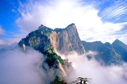 華陰網(wǎng)站建設