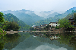 景德鎮(zhèn)網(wǎng)站建設