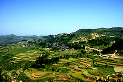 來鳳網(wǎng)站建設