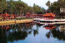 龍子湖網(wǎng)站建設