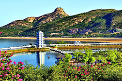 乳山網(wǎng)站建設