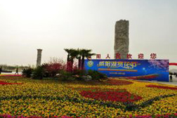 渭城網(wǎng)站建設