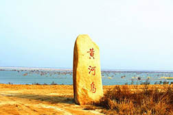 無(wú)棣網(wǎng)站建設(shè)