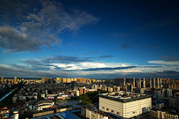 仙桃網(wǎng)站建設