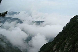 通山網(wǎng)站建設