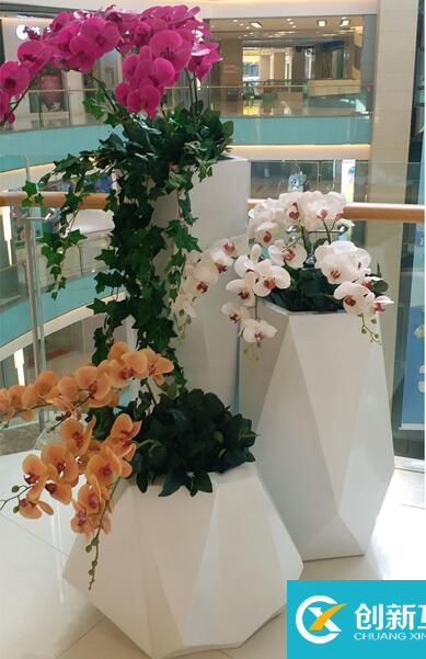 【序號(hào)19-183】重慶玻璃鋼花盆,商場(chǎng)寫(xiě)字樓景觀花盆