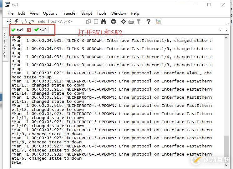 Trunk的配置——實(shí)驗(yàn)篇
