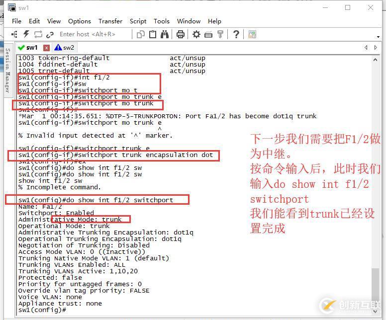 Trunk的配置——實(shí)驗(yàn)篇