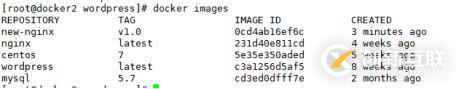 docker三劍客之一docker-compose