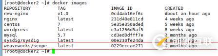 docker三劍客之一docker-compose