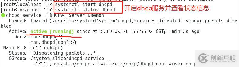 Linux搭建DHCP+DNS+WEB服務(wù)(小型項(xiàng)目現(xiàn)場(chǎng)!)