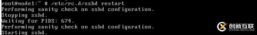 自定義FreeBSD12鏡像拉起ECS報(bào)錯(cuò)后的處理過(guò)程