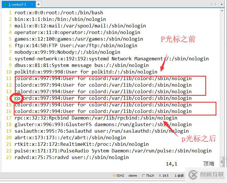 VI編輯器（vim）