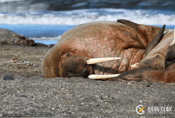 Python 3.8 新功能大揭秘【新手必學(xué)】