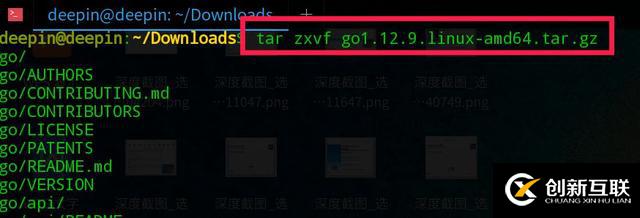 怎么在deepin上搭建Go開發(fā)環(huán)境