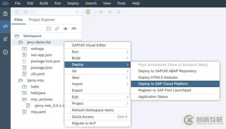 怎么開發(fā)并部署一個支持增刪改查的Fiori應(yīng)用