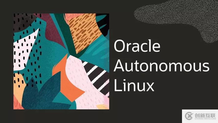 Oracle推出全球首個自治操作系統(tǒng)