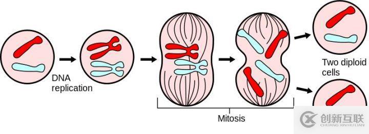 Kafka不停機(jī),如何無感知遷移ZooKeeper集群?