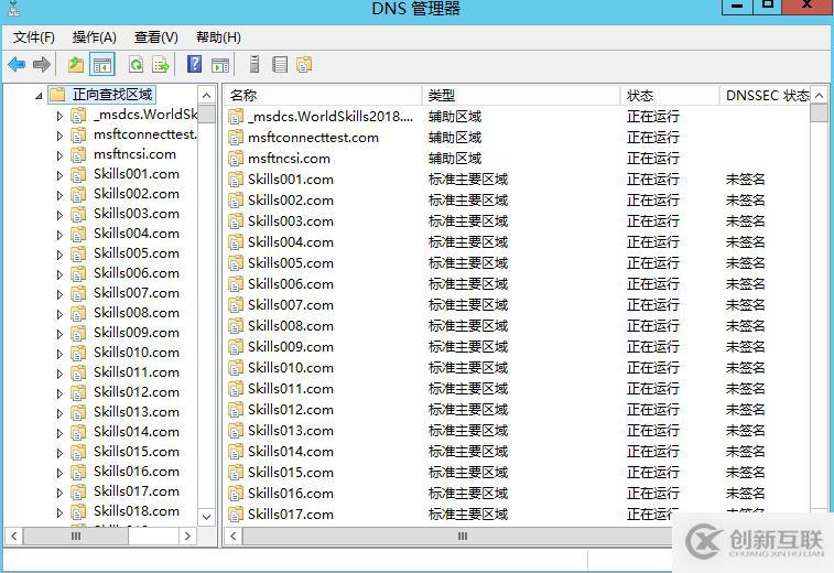 Windows Server 批量創(chuàng)建DNS區(qū)域及記錄（使用bat腳本）