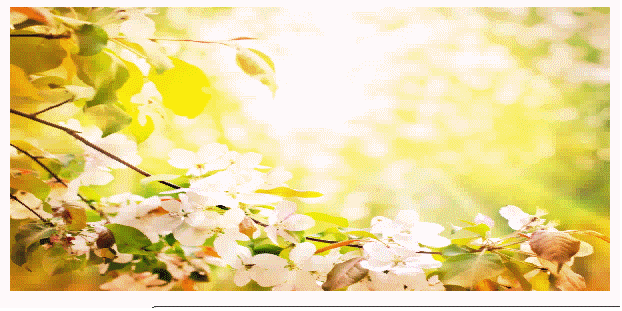 jQuery實(shí)現(xiàn)的簡單圖片輪播效果完整示例