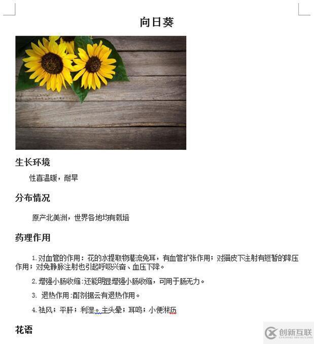 如何使用C#向word文檔插入和隱藏段落