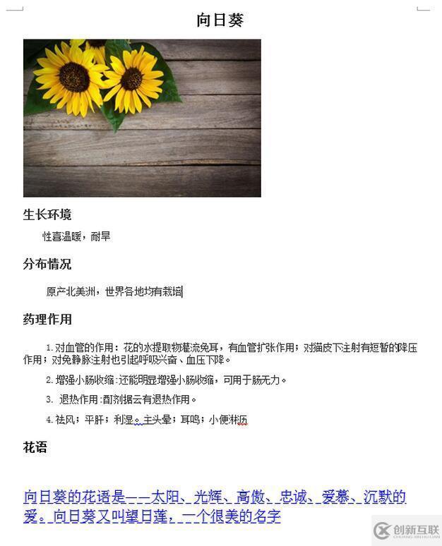 如何使用C#向word文檔插入和隱藏段落