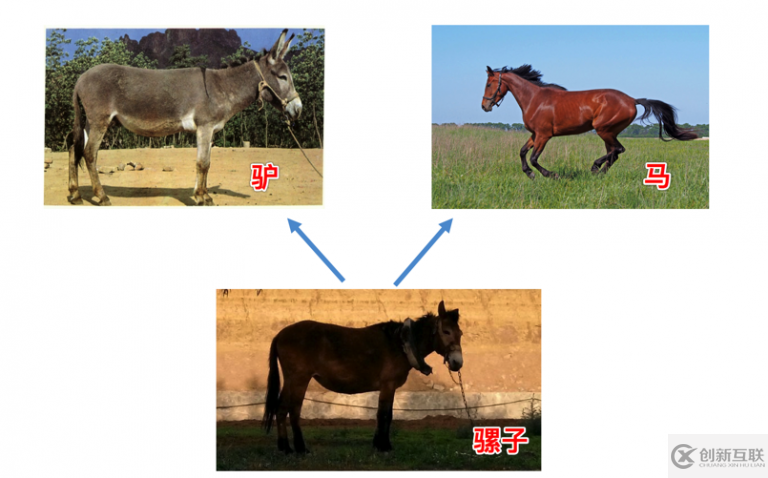 什么是Python中類的繼承