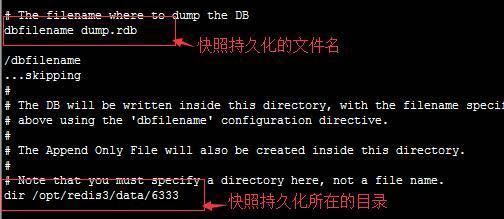 redis怎么實現(xiàn)持久化