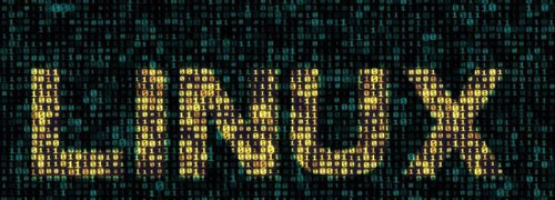 linux使用cp命令復制文件的方法