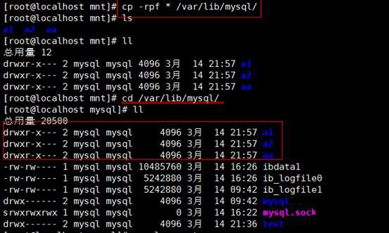 MySQL基礎（命令）