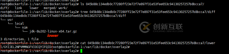 如何分析Docker文件系統(tǒng)