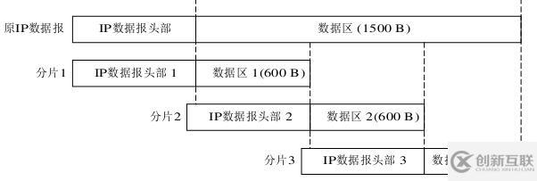 ip數(shù)據(jù)報(bào)的格式有什么