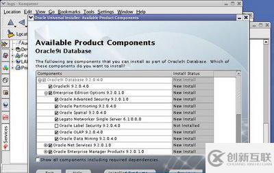 Linux oracle 9i安裝教程是怎樣的