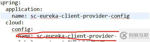 10、服務(wù)提供者provider如何使用配置中心config