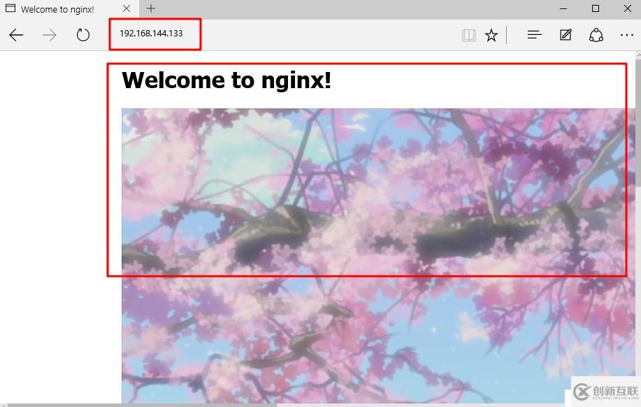 詳述Linux系統(tǒng)中配置Nginx網(wǎng)頁優(yōu)化(二)
