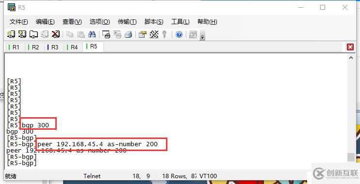 BGP路由反射器以及大AS之間的鄰居建立是怎樣的