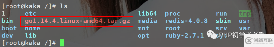 怎么在Linux上運行g(shù)o程序