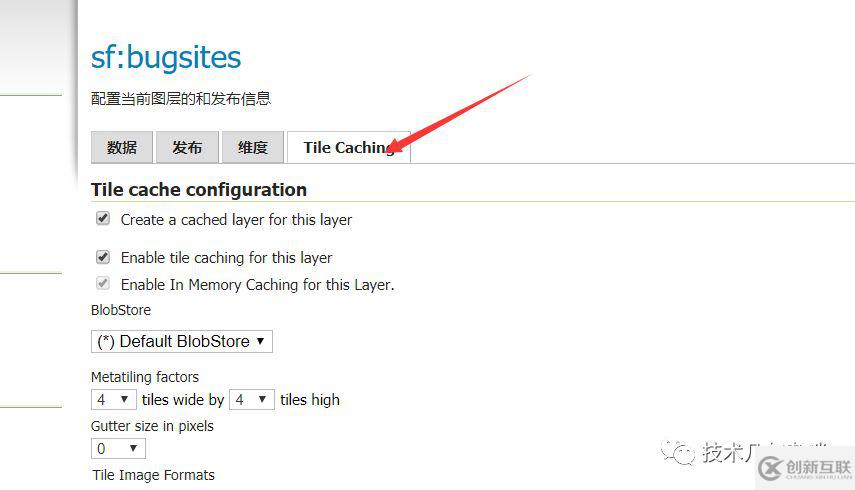 Geoserver中的TE是怎么連接Geoserver影像