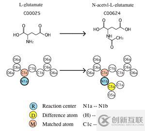 KEGG Reaction 數(shù)據(jù)庫的原理是什么