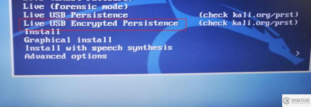 kali 持久加密usb 的制作方法