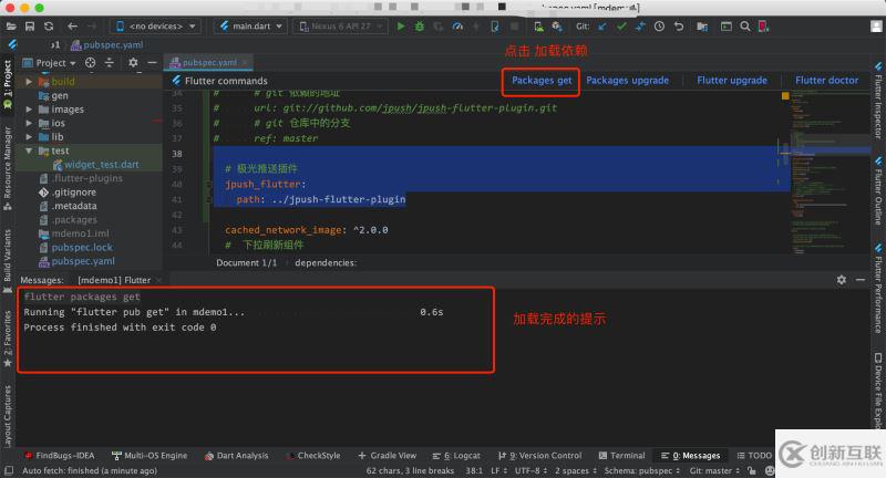 Flutter應(yīng)用集成極光推送的實(shí)現(xiàn)示例
