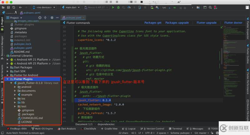 Flutter應(yīng)用集成極光推送的實(shí)現(xiàn)示例