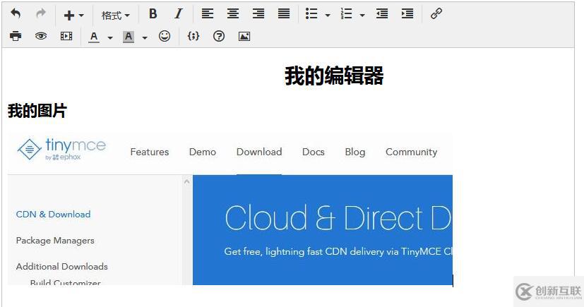JS中富文本編輯器TinyMCE的示例分析