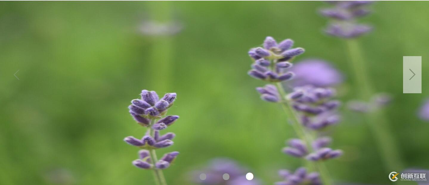 js實現(xiàn)輪播圖(二)