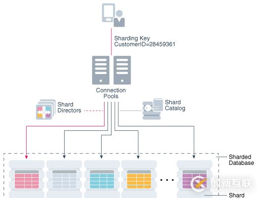 Oracle 20C 多租戶_1.2 數(shù)據(jù)庫與實例介紹