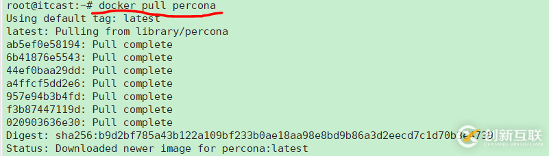 Docker如何創(chuàng)建容器時設(shè)置目錄權(quán)限