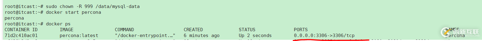 Docker如何創(chuàng)建容器時設(shè)置目錄權(quán)限
